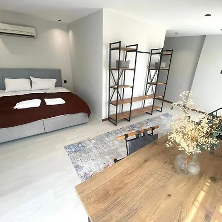 Apartment Double With A Big Balcony And View 51 *